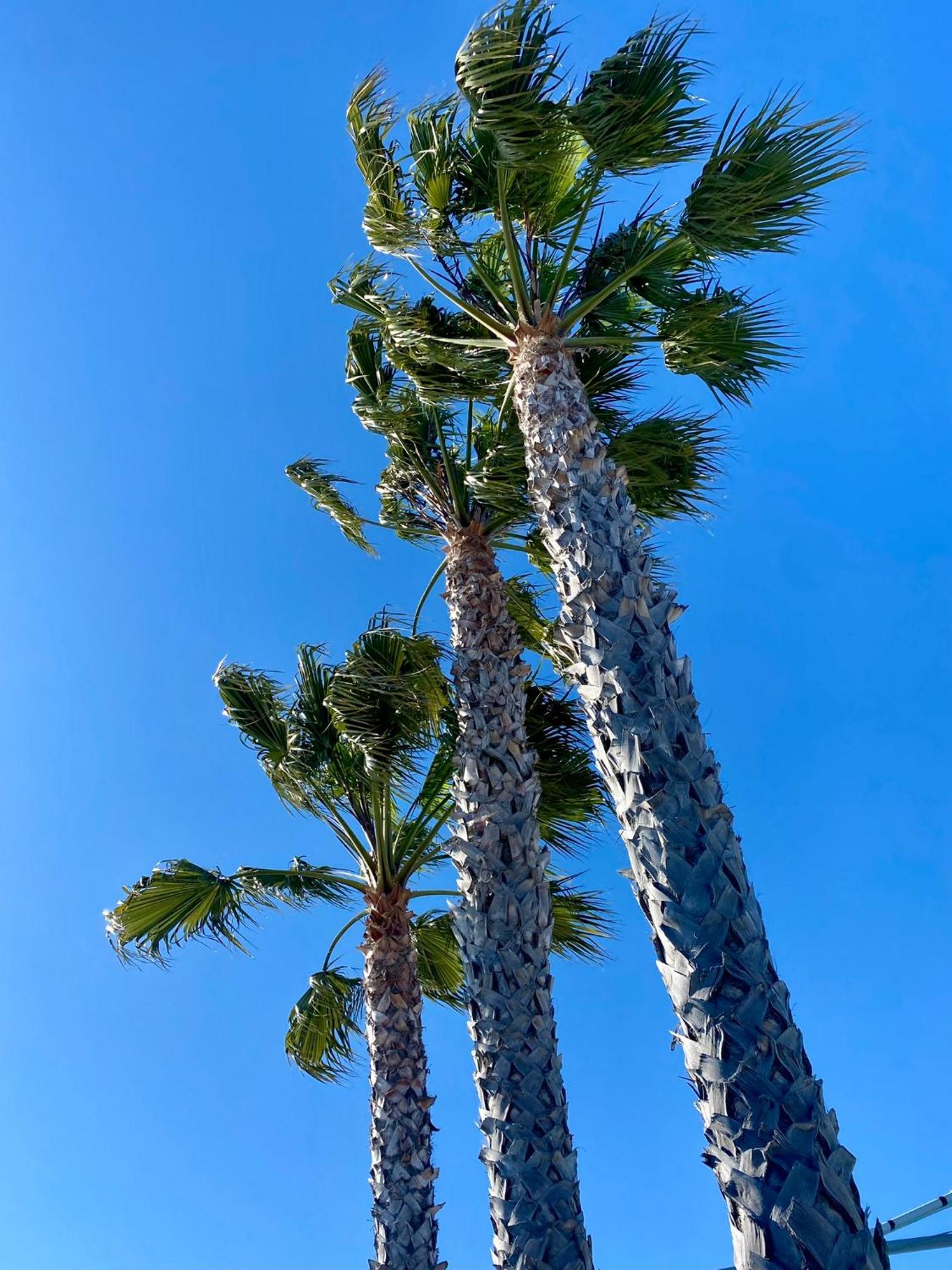 The Grove At Pismo Beach Exterior photo